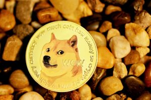 Analyst Says Dogecoin Is The Most Obvious Play Of This Cycle, Here’s Why