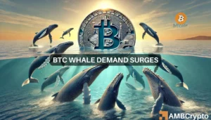 Analyzing Bitcoin’s surge: The impact of whales, institutional investments