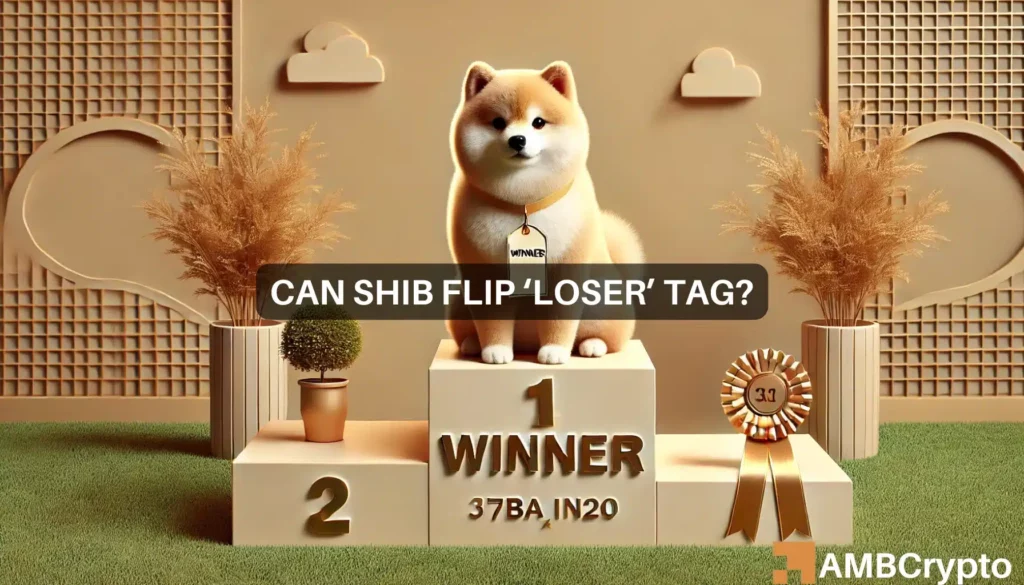 Shiba Inu in trouble: Is a comeback possible after a 12% plunge?