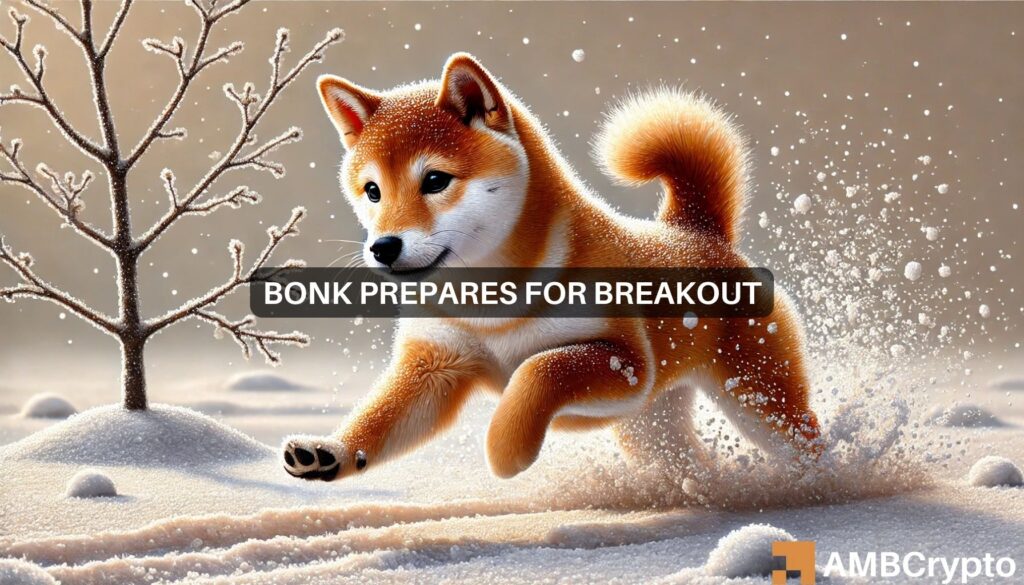 BONK price prediction: What the next 30 days could hold