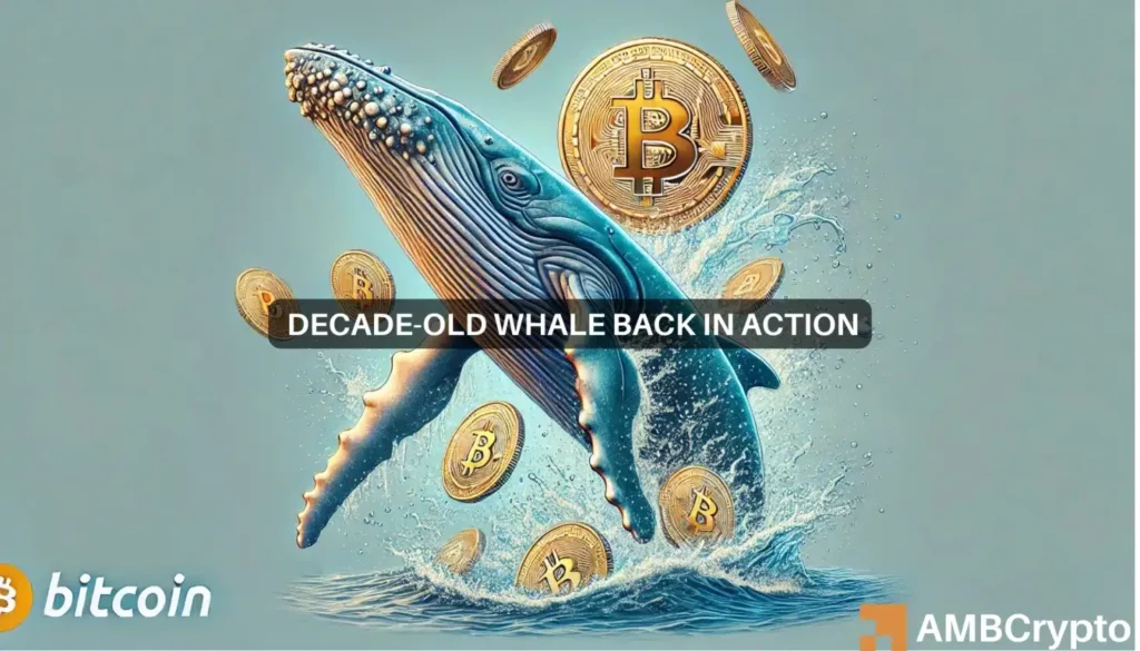 Bitcoin at risk of a dip? Decade-old whale reemerges as BTC hits K!