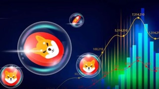 Shiba Inu’s Shibarium Sees Massive 760% Spike In Daily Transactions, What’s Driving It?