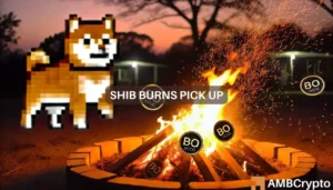 SHIB burns +300M tokens: What does it mean for Shiba Inu investors?