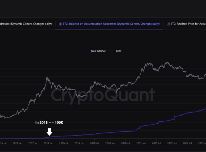 Bitcoin Accumulation Hits 2.9 Million BTC: Has the Preparation For A Massive Rally Begun?