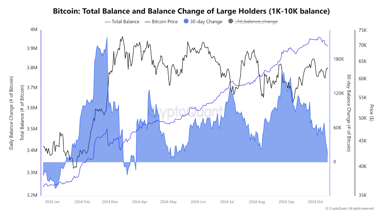 Bitcoin Whale Buying