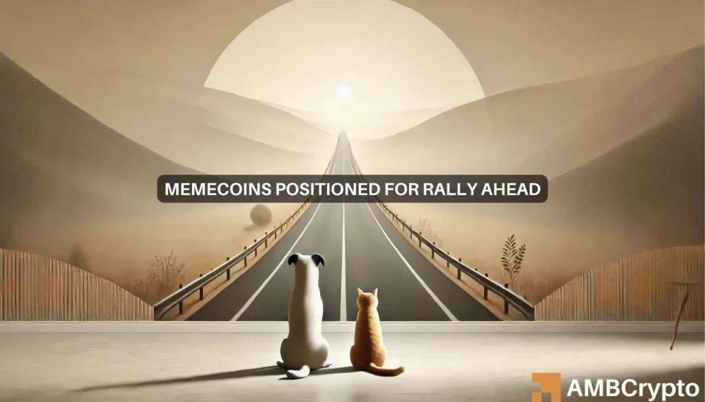 Memecoin boom? Why these tokens could rally this November!