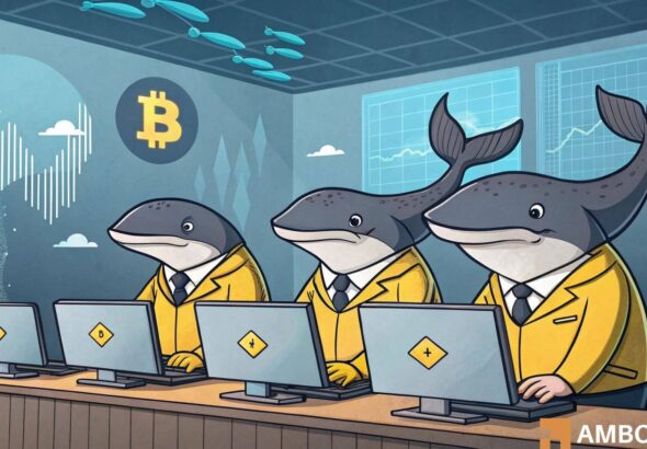 Bitcoin whale activity drops by B – What next for BTC’s recovery