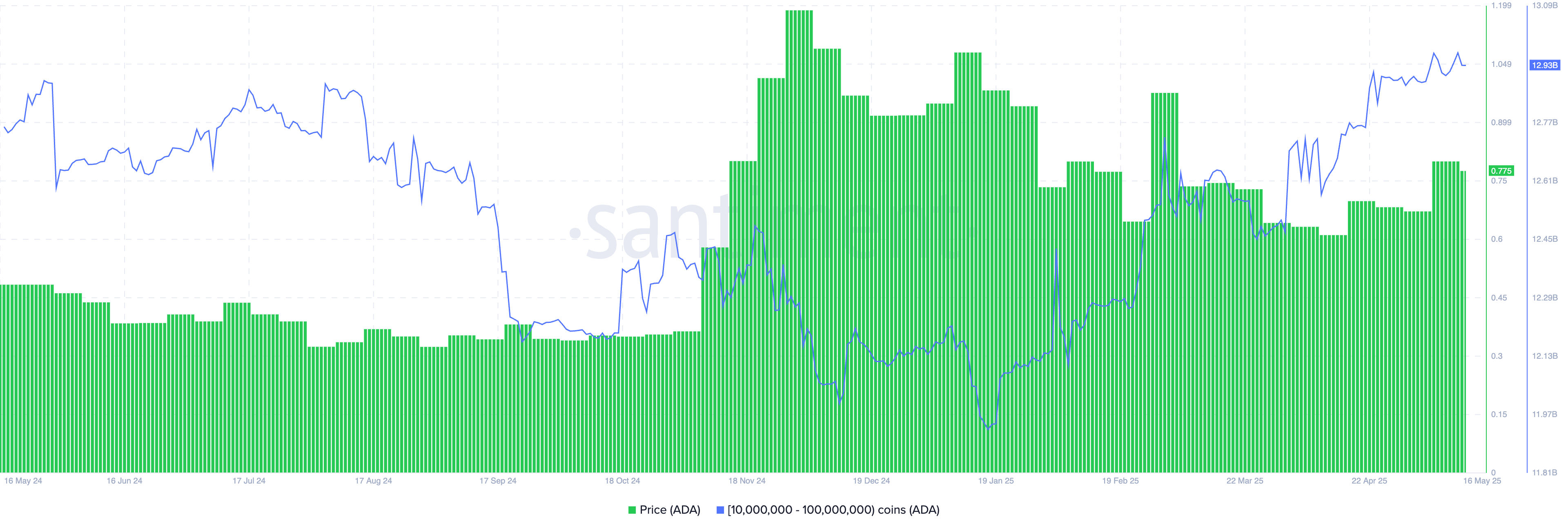 cardano whales