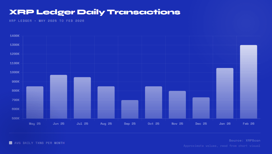 XRPL Daily Transactions