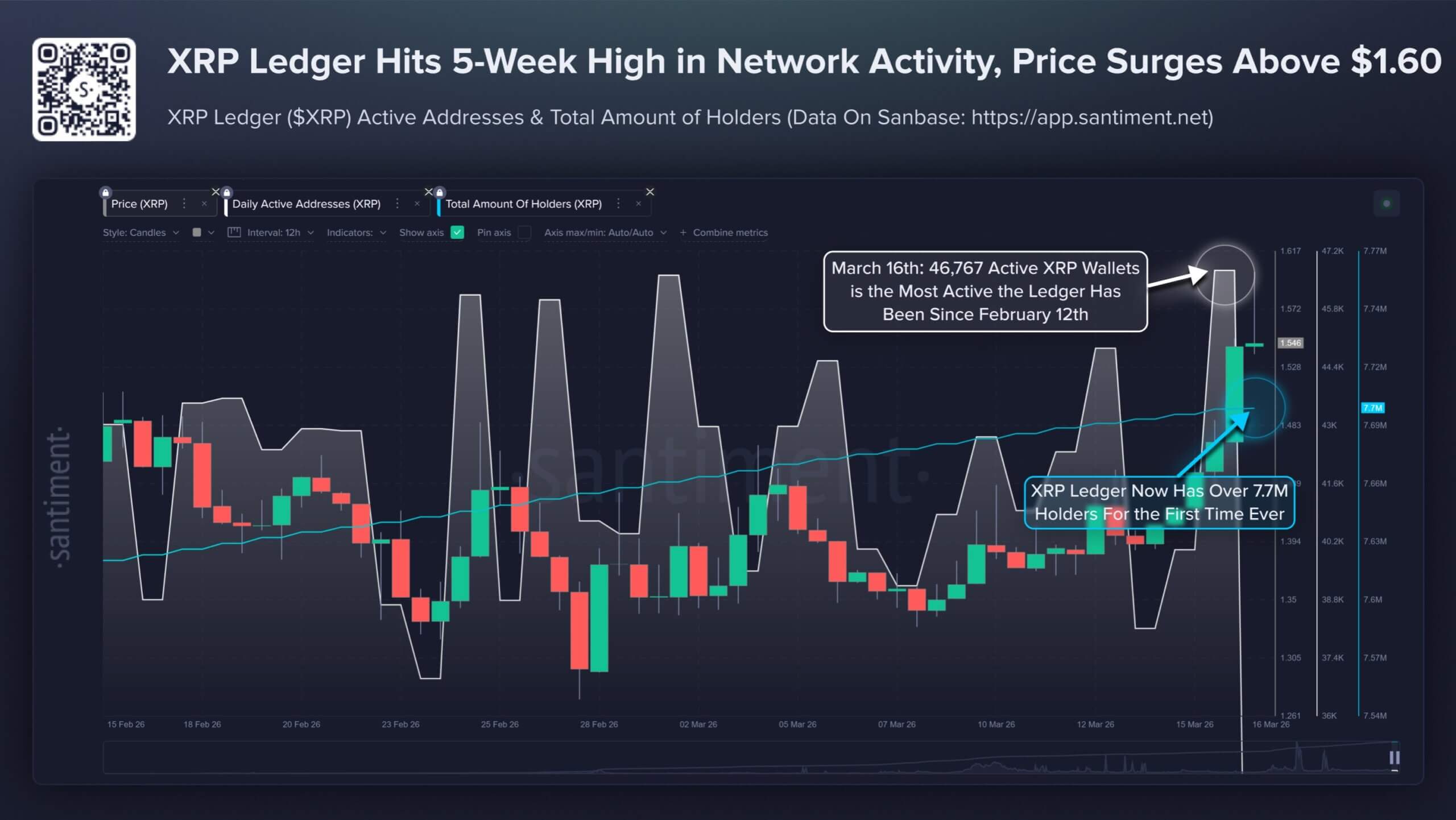 XRP Ledger Holders