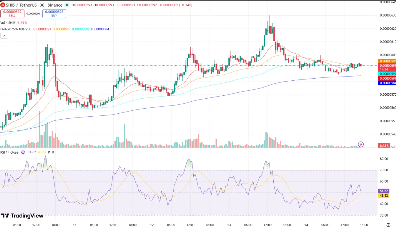Shiba Inu, Bonk Coin, Remittix: A look at crypto assets with real utility - 3