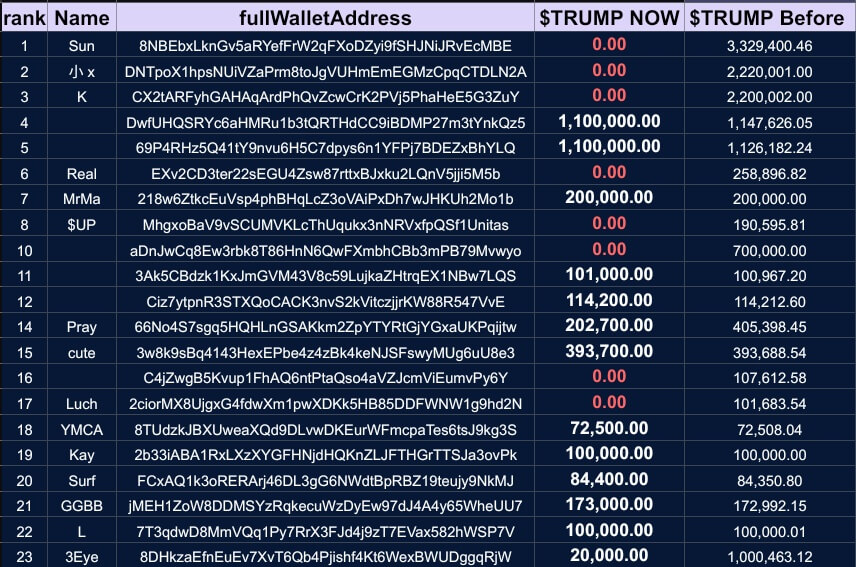 TRUMP Token Top Holders