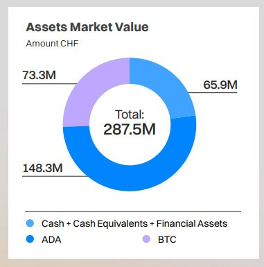 Cardano Foundation's Assets value