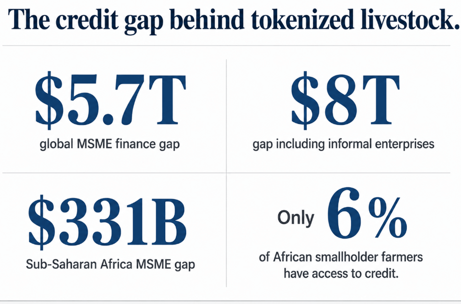 The credit gap behind tokenization in the livestock industry