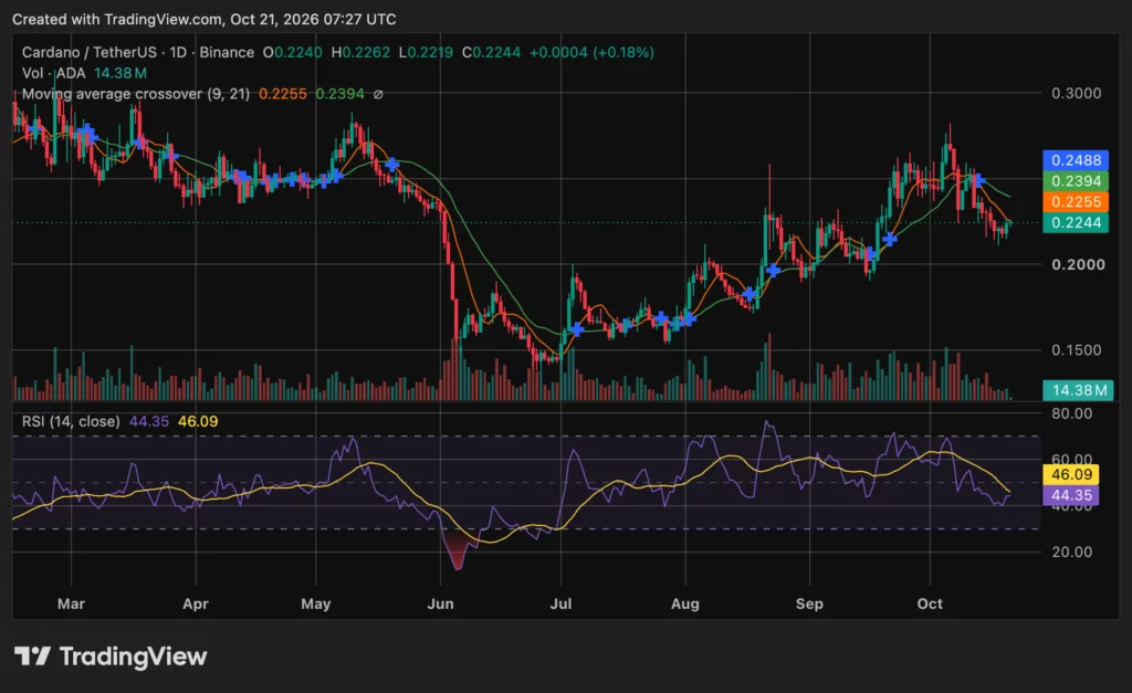 Cardano (ADA) price chart, source: crypto.news